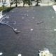 Industrial flat roof being prepared for a 2ply system with torch Base and Cap.